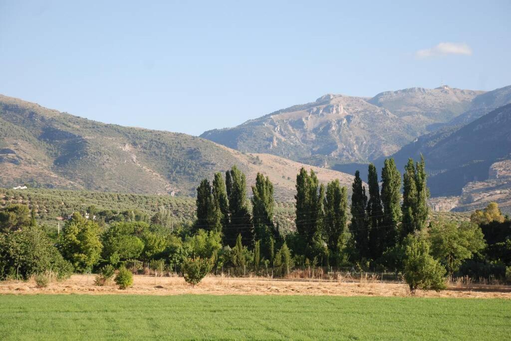 Casa De Campo Perfectamente Equipada Villa Jaén Eksteriør bilde